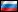 俄罗斯 的旗帜